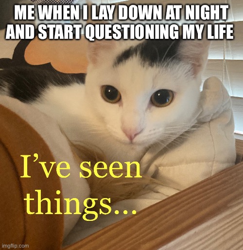 I’ve Seen Things | ME WHEN I LAY DOWN AT NIGHT AND START QUESTIONING MY LIFE | image tagged in cat | made w/ Imgflip meme maker