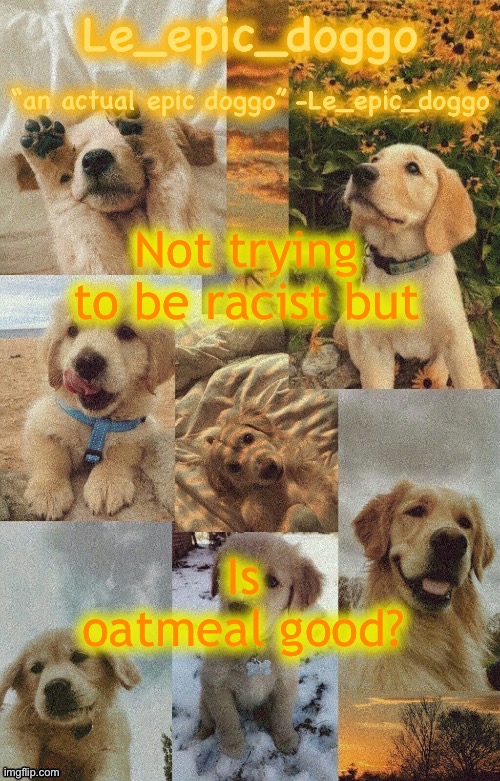 Doggo temp by doggo. Wait what that’s confusing | Not trying to be racist but; Is oatmeal good? | image tagged in doggo temp by doggo wait what that s confusing | made w/ Imgflip meme maker