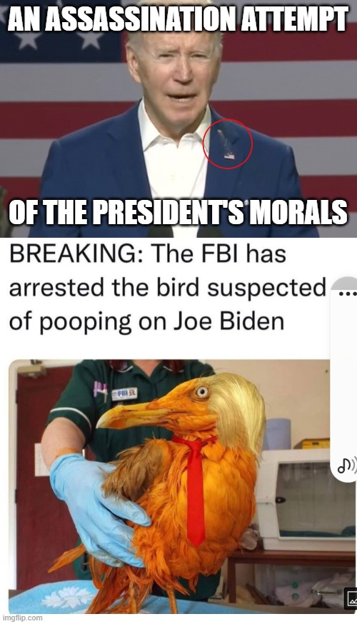 Bird poop on Biden | AN ASSASSINATION ATTEMPT; OF THE PRESIDENT'S MORALS | image tagged in bird poop ' biden,poop,bird | made w/ Imgflip meme maker