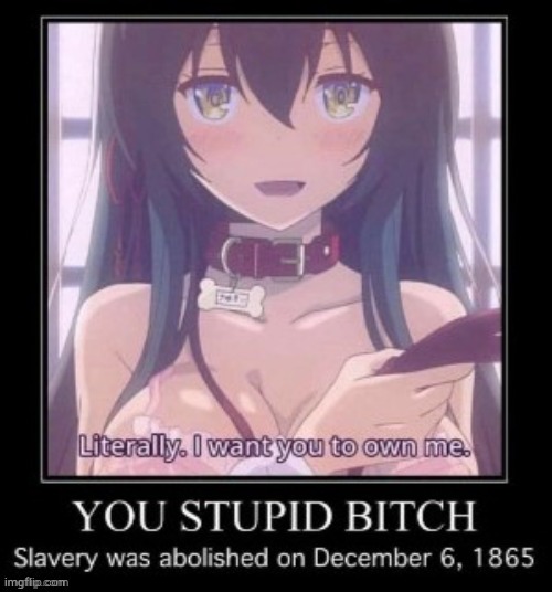 you stupid bitch | made w/ Imgflip meme maker