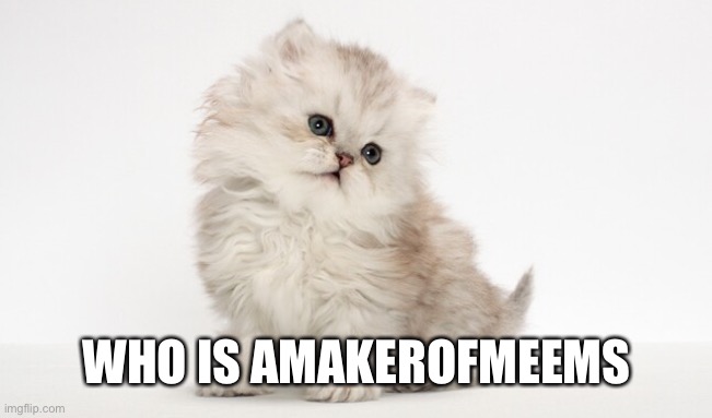 Asking | WHO IS AMAKEROFMEEMS | image tagged in my announcement temp | made w/ Imgflip meme maker