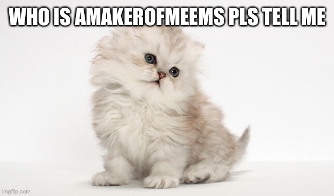 My announcement temp | WHO IS AMAKEROFMEEMS PLS TELL ME | image tagged in my announcement temp,amakerofmeems | made w/ Imgflip meme maker