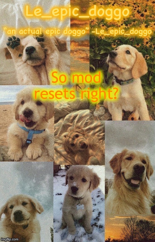Doggo temp by doggo. Wait what that’s confusing | So mod resets right? | image tagged in doggo temp by doggo wait what that s confusing | made w/ Imgflip meme maker
