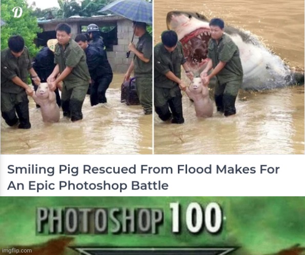 Pig rescued from flood | image tagged in photoshop 100,sneak 100,funny,pig,memes,photoshop | made w/ Imgflip meme maker
