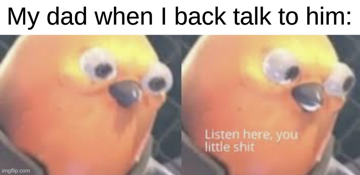 *runs* | My dad when I back talk to him: | image tagged in listen here you little shit bird | made w/ Imgflip meme maker
