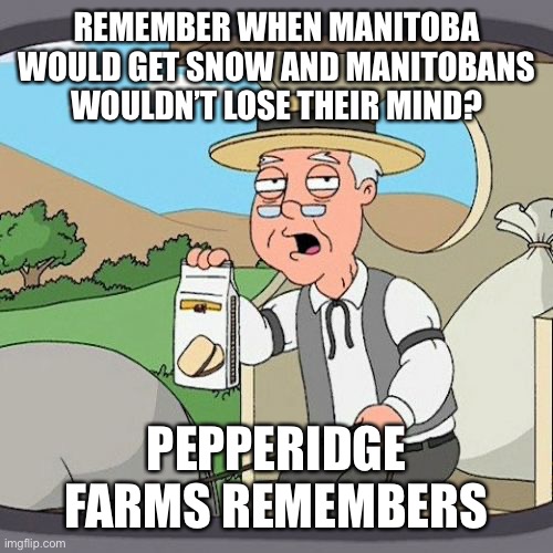 Manitoba snow |  REMEMBER WHEN MANITOBA WOULD GET SNOW AND MANITOBANS WOULDN’T LOSE THEIR MIND? PEPPERIDGE FARMS REMEMBERS | image tagged in memes,pepperidge farm remembers | made w/ Imgflip meme maker