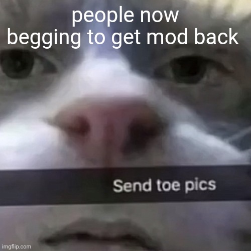 kat | people now begging to get mod back | image tagged in kat | made w/ Imgflip meme maker