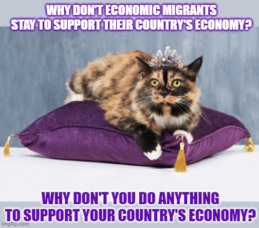 This #lolcat wonders why some want to be economic migrants. | WHY DON'T ECONOMIC MIGRANTS
STAY TO SUPPORT THEIR COUNTRY'S ECONOMY? WHY DON'T YOU DO ANYTHING
TO SUPPORT YOUR COUNTRY'S ECONOMY? | image tagged in lolcat,economy,migrants,refugees,immigration | made w/ Imgflip meme maker