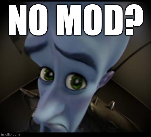 me rn: | NO MOD? | image tagged in no bitches | made w/ Imgflip meme maker