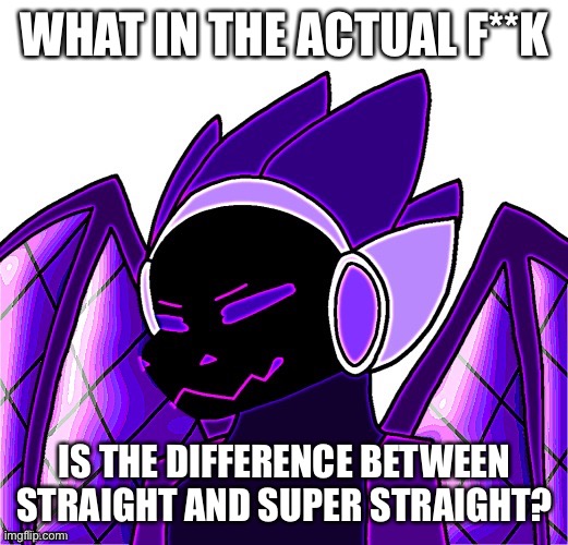 Let’s ask, the secondary experts (I’m not willing to go to a politics stream for this) | WHAT IN THE ACTUAL F**K; IS THE DIFFERENCE BETWEEN STRAIGHT AND SUPER STRAIGHT? | made w/ Imgflip meme maker