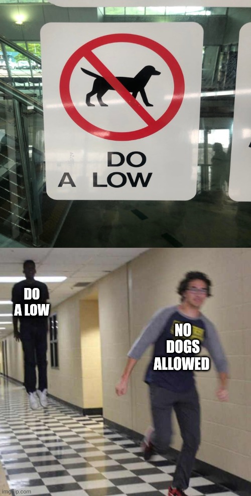 "Do a low" | DO A LOW; NO DOGS ALLOWED | image tagged in floating boy chasing running boy,funny,memes,you had one job,you had one job just the one,no dogs allowed | made w/ Imgflip meme maker