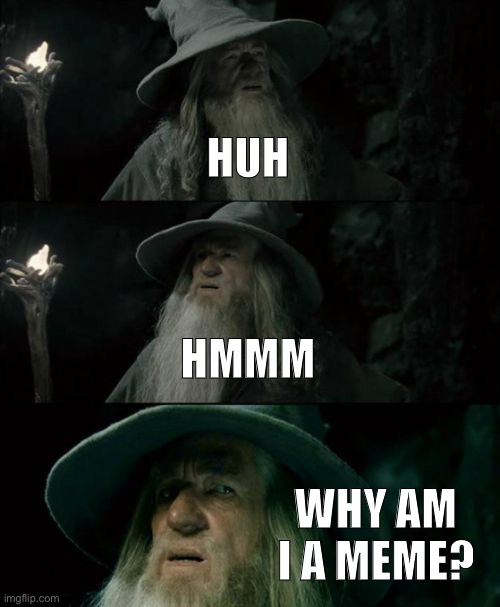 Confused Gandalf | HUH; HMMM; WHY AM I A MEME? | image tagged in memes,confused gandalf,confused,funny,gandalf,true | made w/ Imgflip meme maker