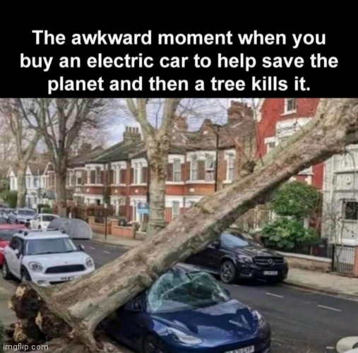When trees attack | image tagged in tress,angry,attack | made w/ Imgflip meme maker