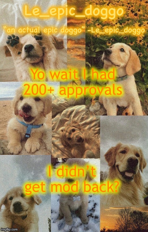 Doggo temp by doggo. Wait what that’s confusing | Yo wait I had 200+ approvals; I didn’t get mod back? | image tagged in doggo temp by doggo wait what that s confusing | made w/ Imgflip meme maker