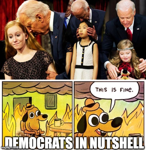 DEMOCRATS IN NUTSHELL | image tagged in creepy joe biden sniff,memes,this is fine | made w/ Imgflip meme maker