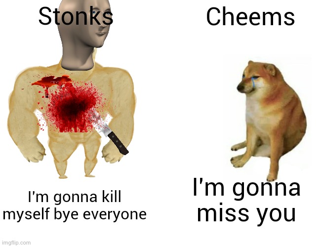 rip stonks |  Stonks; Cheems; I'm gonna miss you; I'm gonna kill myself bye everyone | image tagged in memes,buff doge vs cheems | made w/ Imgflip meme maker