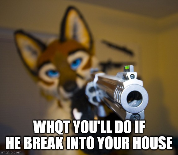 Imma throw it back outside | WHQT YOU'LL DO IF HE BREAK INTO YOUR HOUSE | image tagged in furry with gun | made w/ Imgflip meme maker