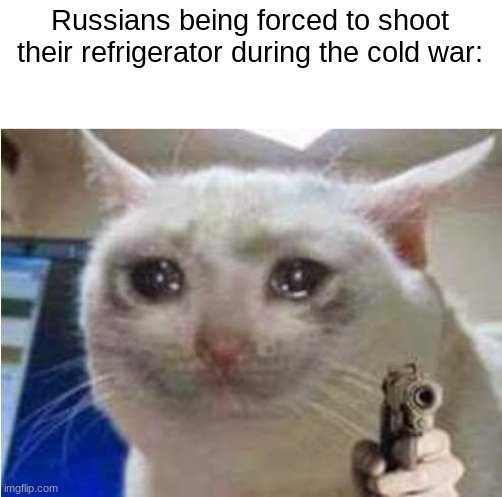 Sad cat with gun |  Russians being forced to shoot their refrigerator during the cold war: | image tagged in cold war,sad cat holding dog | made w/ Imgflip meme maker