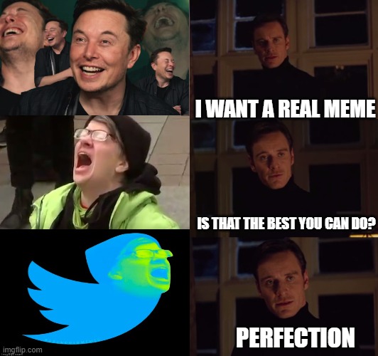 perfection | I WANT A REAL MEME IS THAT THE BEST YOU CAN DO? PERFECTION | image tagged in perfection | made w/ Imgflip meme maker
