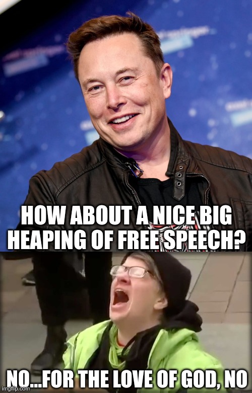 Snowflakes Say No | HOW ABOUT A NICE BIG HEAPING OF FREE SPEECH? NO...FOR THE LOVE OF GOD, NO | image tagged in trump sjw no,elon musk,twitter | made w/ Imgflip meme maker