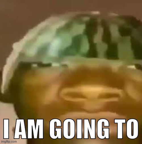 I AM GOING TO | made w/ Imgflip meme maker
