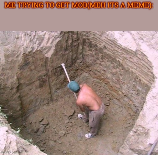 Dig a Hole | ME TRYING TO GET MOD(MEH ITS A MEME): | image tagged in dig a hole | made w/ Imgflip meme maker