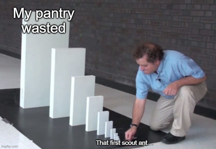 It only takes one | My pantry wasted; That first scout ant | image tagged in domino effect,memes,pantry,food,ants,scout | made w/ Imgflip meme maker