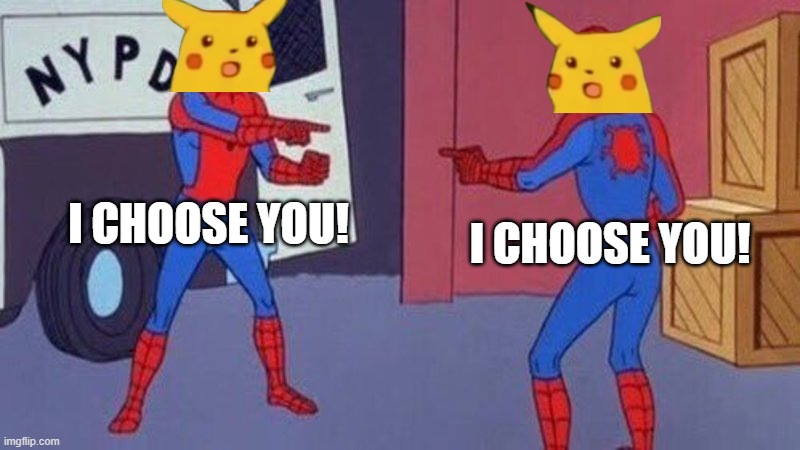 This is sort of how my siblings determine who takes out the trash | I CHOOSE YOU! I CHOOSE YOU! | image tagged in spiderman pointing at spiderman,pikachu,i choose you | made w/ Imgflip meme maker