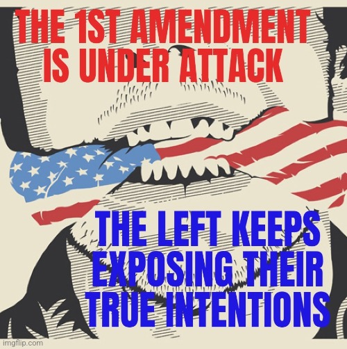 PAY ATTENTION TO WHAT THEY SAY ITS NOT FREE | image tagged in first amendment,under attack,forget the left | made w/ Imgflip meme maker