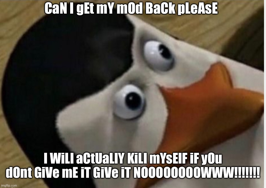 Lel | CaN I gEt mY mOd BaCk pLeAsE; I WiLl aCtUaLlY KiLl mYsElF iF yOu dOnt GiVe mE iT GiVe iT NOOOOOOOOWWW!!!!!!! | image tagged in concerned private | made w/ Imgflip meme maker