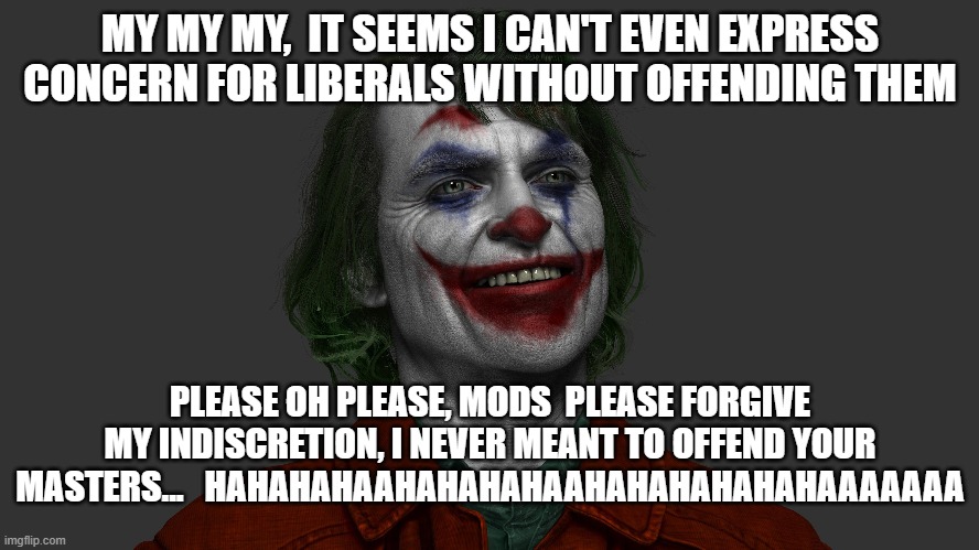 Imgflip politics mods .. my goodness.. how pathetic you have become | MY MY MY,  IT SEEMS I CAN'T EVEN EXPRESS CONCERN FOR LIBERALS WITHOUT OFFENDING THEM; PLEASE OH PLEASE, MODS  PLEASE FORGIVE MY INDISCRETION, I NEVER MEANT TO OFFEND YOUR MASTERS...   HAHAHAHAAHAHAHAHAAHAHAHAHAHAHAAAAAAA | image tagged in fuck you | made w/ Imgflip meme maker