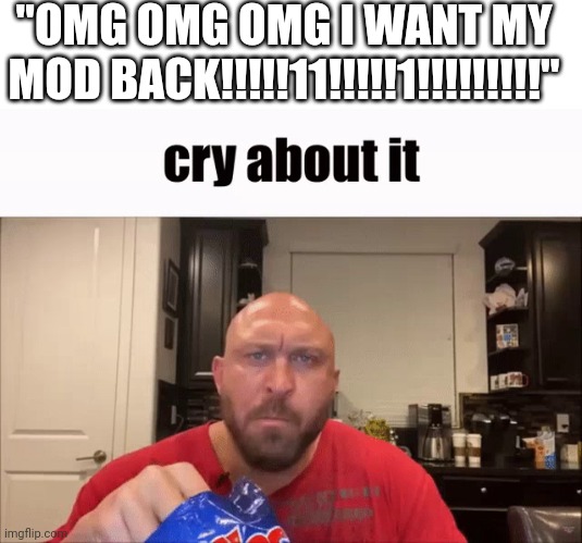 Cry About It | "OMG OMG OMG I WANT MY MOD BACK!!!!!11!!!!!1!!!!!!!!!" | image tagged in cry about it | made w/ Imgflip meme maker