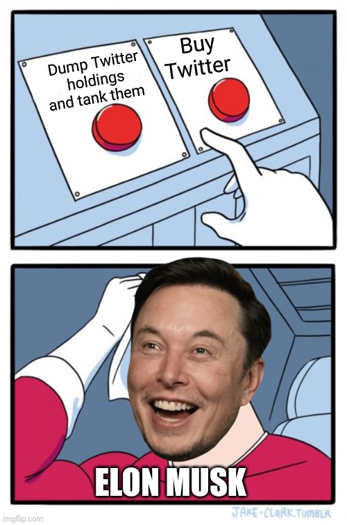 Two Buttons | Buy Twitter; Dump Twitter holdings and tank them; ELON MUSK | image tagged in memes,two buttons | made w/ Imgflip meme maker