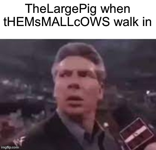 x when x walks in | TheLargePig when tHEMsMALLcOWS walk in | image tagged in x when x walks in | made w/ Imgflip meme maker