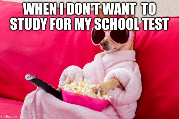 me | WHEN I DON'T WANT  TO STUDY FOR MY SCHOOL TEST | image tagged in funny | made w/ Imgflip meme maker