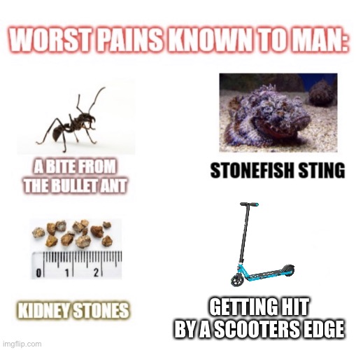 most painful things known to man | GETTING HIT BY A SCOOTERS EDGE | image tagged in most painful things known to man | made w/ Imgflip meme maker