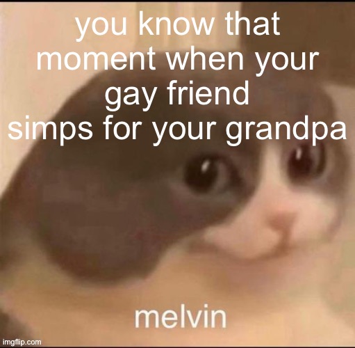 no? Just me? | you know that moment when your gay friend simps for your grandpa | image tagged in melvin | made w/ Imgflip meme maker