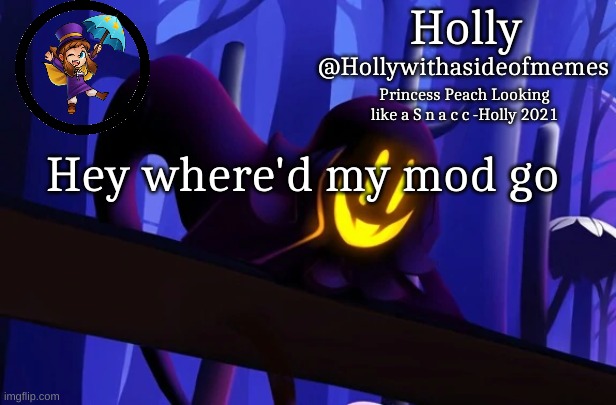 Holly Snatcher Template | Hey where'd my mod go | image tagged in holly snatcher template | made w/ Imgflip meme maker