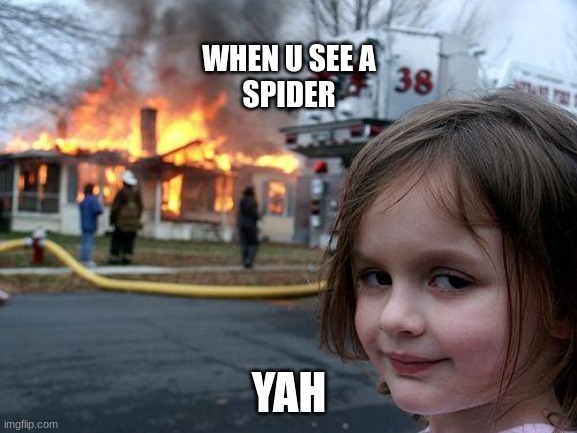 Disaster Girl | WHEN U SEE A SPIDER; YAH | image tagged in memes,disaster girl | made w/ Imgflip meme maker