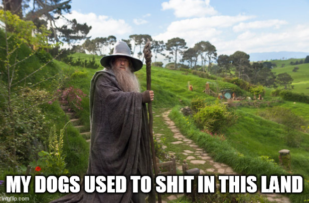 gandalf | MY DOGS USED TO SHIT IN THIS LAND | image tagged in gandalf | made w/ Imgflip meme maker