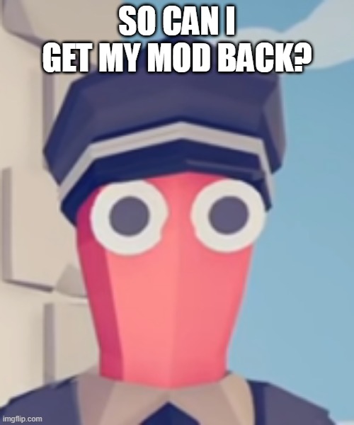 TABS Stare | SO CAN I GET MY MOD BACK? | image tagged in tabs stare | made w/ Imgflip meme maker