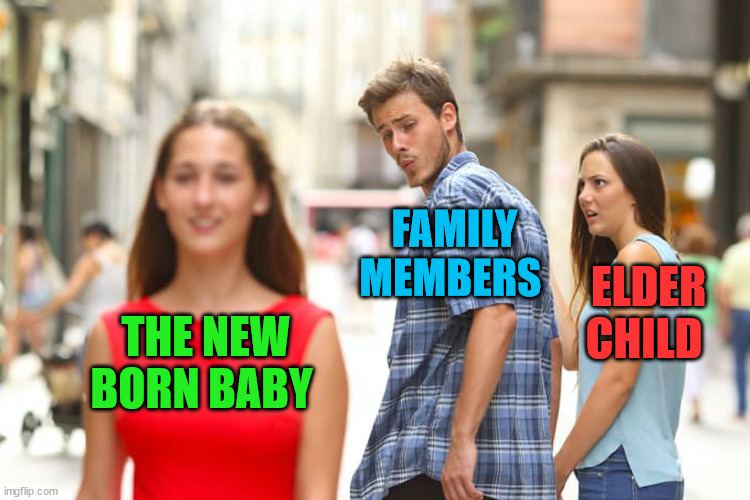 the new born baby |  FAMILY MEMBERS; ELDER CHILD; THE NEW BORN BABY | image tagged in memes,newborn,baby,funny,memehub,life | made w/ Imgflip meme maker