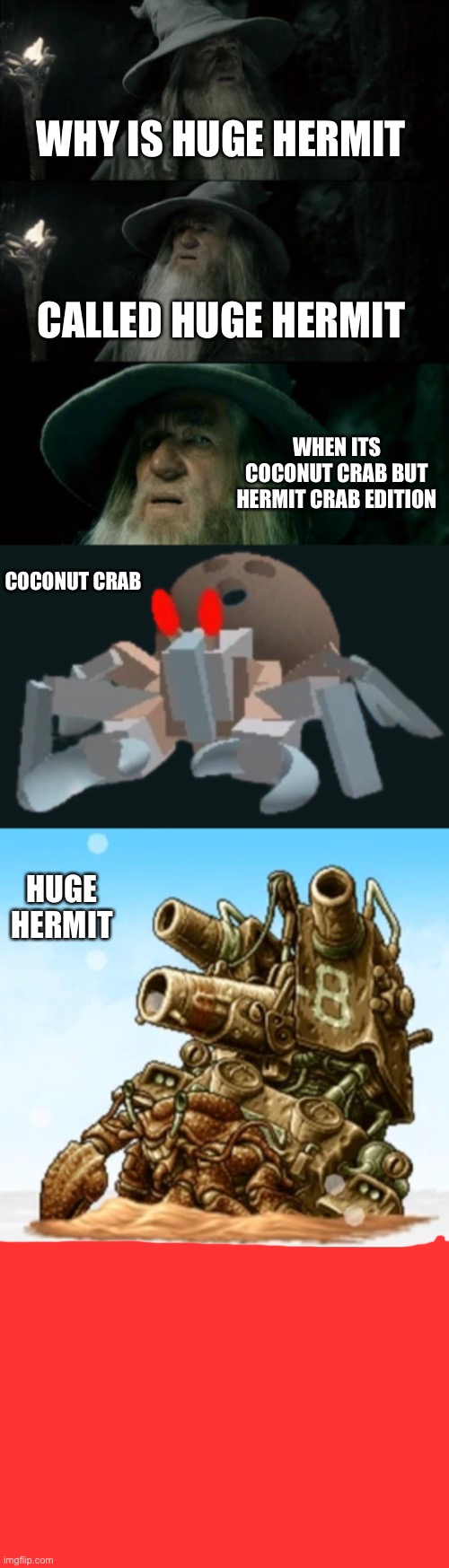 WHY IS HUGE HERMIT; CALLED HUGE HERMIT; WHEN ITS COCONUT CRAB BUT HERMIT CRAB EDITION; COCONUT CRAB; HUGE HERMIT | image tagged in memes,confused gandalf | made w/ Imgflip meme maker