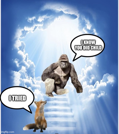 Harambe is coming… | I KNOW YOU DID CHILD; I TRIED | image tagged in harambe and patriotic fox | made w/ Imgflip meme maker