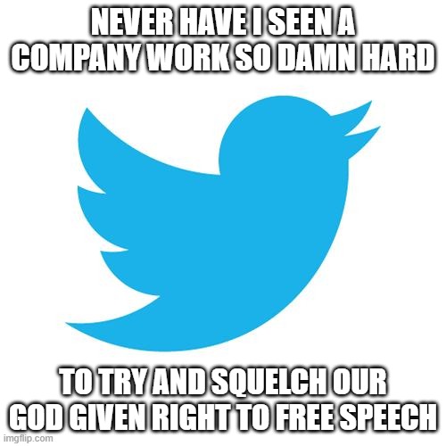 Twitter sells to Musk and free speech is restored. They don't sell and they get sued and Twitter reveals themselves. | NEVER HAVE I SEEN A COMPANY WORK SO DAMN HARD; TO TRY AND SQUELCH OUR GOD GIVEN RIGHT TO FREE SPEECH | image tagged in twitter birds says,elon musk,twitter | made w/ Imgflip meme maker