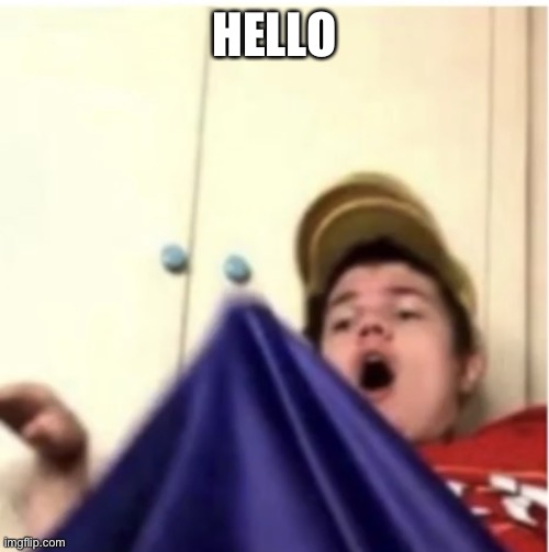 Where mod go | HELLO | image tagged in alfaoxtrot mega boner | made w/ Imgflip meme maker