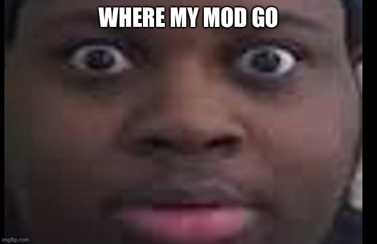 Oh well | WHERE MY MOD GO | image tagged in edp stare | made w/ Imgflip meme maker