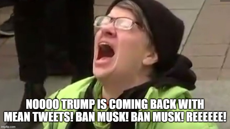 Screaming Liberal  | NOOOO TRUMP IS COMING BACK WITH MEAN TWEETS! BAN MUSK! BAN MUSK! REEEEEE! | image tagged in screaming liberal | made w/ Imgflip meme maker