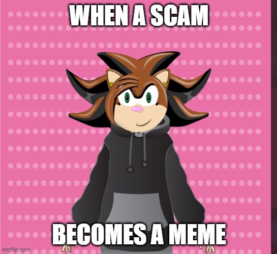 I got scammed so I'm making memes | WHEN A SCAM; BECOMES A MEME | image tagged in funny,memes,sonic the hedgehog,original character,scammers | made w/ Imgflip meme maker
