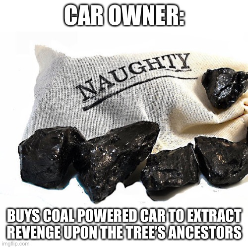 When a tree fell on a car | CAR OWNER:; BUYS COAL POWERED CAR TO EXTRACT REVENGE UPON THE TREE’S ANCESTORS | image tagged in coal,tree,dead tree,cursed | made w/ Imgflip meme maker